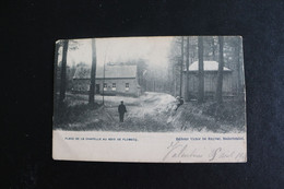 P-B 243 / Hainaut  Flobecq - Vloesberg,  Place De La Chapelle Au Bois De Flobecq   / 1920 - Vloesberg