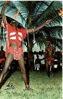 Gambia  Fire Eater  104 - Gambia