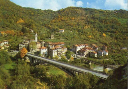 ROQUEBILLIERE - Pont Corniglion - Molinier Sur La Vésubie - Roquebilliere