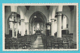 * Wortegem Petegem (Oost Vlaanderen) * (Uitg P.S. Antoine - A. Verwulgen) Binnenzicht Kerk, Intérieur église, Croix - Wortegem-Petegem