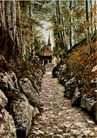 Küssnacht - Hohle Gasse - Tellskapelle (3594) - Küssnacht