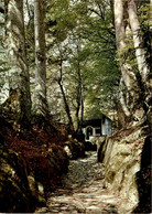 Küssnacht Am Rigi - Hohle Gasse Mit Tellskapelle (3310) - Küssnacht