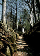 Küssnacht Am Rigi - Hohle Gasse Mit Tellskapelle (1294) - Küssnacht