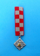 SPOMEN MEDALJA VUKOVAR - Croatia Miniature Of Medal (order) * Croatie Kroatien Croazia Croacia RRR - Autres & Non Classés