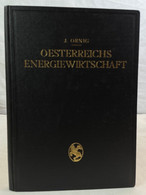 Österreichs Energiewirtschaft : Auf Veranlassung Des Wasserwirtschaftsverbandes Des österreichischen Industrie - Arquitectura