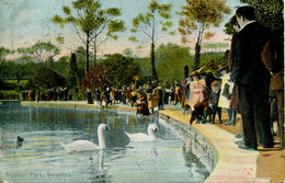 GLAMORGAN - SWANSEA - BRYNMILL PARk - ANIMATED 1904  Glam263 - Glamorgan