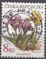 Ceska Republika 1997 Michel 138 O Cote (2009) 0.40 Euro Fleur Iris Nain Cachet Rond - Used Stamps