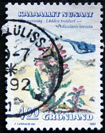 Greenland   1992  Flowers MiNr.223  (O) ( Lot H 743 ) - Usati