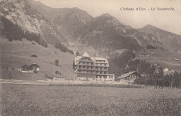 11939-CHATEAU D'OEX(CANTON VAUD)-LA SOLDANELLE-1907-FP - Château-d'Œx