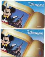 @+ Passeport Disneyland Paris : Lot De 2 Cartes Mickey - Plastic Et Papier (France) - Passeports Disney