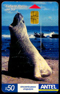 SCHEDA PHONECARD URUGUAY SEA MAMMALS ELEFANTE MARINO DEL SUR 2^A QUALITÀ - Uruguay