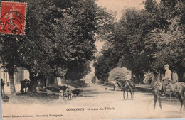 Commercy - Avenue Des Tilleuls - Militaires Cavaliers - Commercy