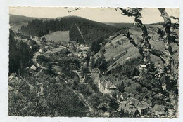 AK 102803 GERMANY - Wildemann / Oberharz - Wildemann