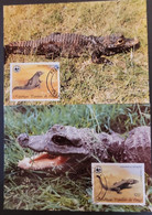 O) 1987  REPUBLIC OF CONGO,  WWF, CROCODILES, WORLD WILDLIFE FUND, OSTEOLAEMUS, CATAPHRACTUS, TETRASPIS,  MAXIMUM CARD - Sonstige & Ohne Zuordnung