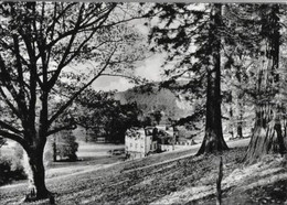 TILFF - Château De Sainval Et Son Parc - Collect. Edg. Schindeler - Esneux