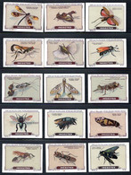 Lot De 15 Images Chromos Chocolat Kohler, Peter, Cailler, Nestlé. Les Insectes. - Nestlé