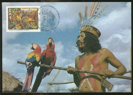 Brèsil Brasil Carte Maximum Indiens Du Brèsil 500 Ans Découverte Cabral 2000 Brazil Indians 500 Years Discovery - Cartoline Maximum