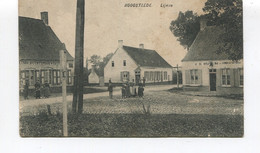 CPA - HOOGSTAEDE LYNDE - GARE DU CHEMIN DE FER VICINAL FURNES A YPRES - Avelgem