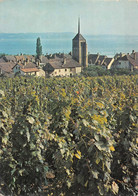 Saint St Blaise Vignes - Saint-Blaise