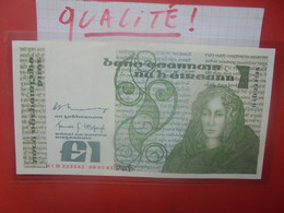 IRLANDE 1 POUND 1981 BELLE QUALITE Circuler (B.28) - Irlande