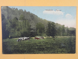 Hamoir Paysage (colorisée) - Hamoir