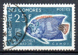 Col32 Colonie Comores N° 48 Oblitéré  Cote : 5,00 € - Used Stamps