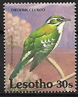Lesotho - MNH ** 1992 :      Diederik Cuckoo  -  Chrysococcyx Caprius - Cuculi, Turaco