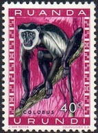 RUANDA-URUNDI - Singe Colobus (Colobus Sp.) - Nuovi