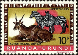 RUANDA-URUNDI -  Eland Commun (Taurotragus Oryx), Zèbre Des Plaines (Equus Quagga) - Ongebruikt