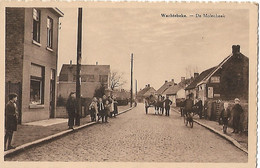 Wachtebeke Molenhoek - Wachtebeke