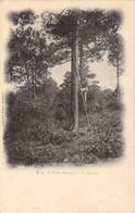 CPA Thèmes - Agriculture - La Forêt D'Arcachon - Un Résinier - Collection Faure - Dos Non Divisé - Animée - Arbre - Cultivation