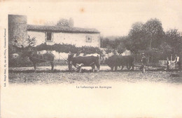 CPA Thème - Agriculture - Le Labourage En Auvergne - Lib. Bougé Béal - Dos Non Divisé - Animée - Cheval - Vache - Boeufs - Landwirtschaftl. Anbau