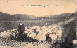 CPA Thème - Agriculture - Les Pyrénées - Le Retour Au Bercail - Mouton - Berger - Animée - Chemin - Autres & Non Classés