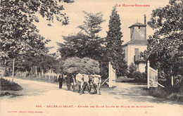 CPA  Agriculture - Haute Garonne - Salies Du Salat - Entrée Des Bains Salins Et Route De Montsaunés - Labouche Frères - Sonstige & Ohne Zuordnung