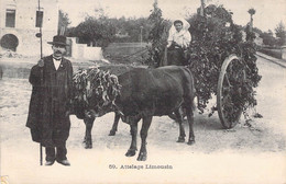 CPA Thèmes - Agriculture - Attelage Limousin - Imp. B. & G. Lyon - Boeufs - Animée - Charrettes - Equipos