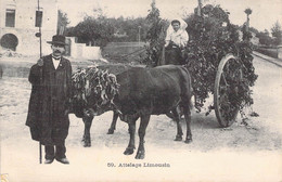 CPA Thèmes - Agriculture - Attelage Limousin - Imp. B. & G. Lyon - Boeufs - Animée - Charrettes - Wagengespanne