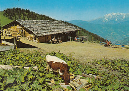 Wagrain , St Johann Im Pongau 1983 - Wagrain