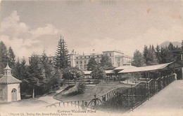 Kurhaus-Waldhaus Flims 1905 - Flims