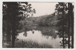 40 - Landes /  GABARRET -- Etang D'Espérous. - Gabarret