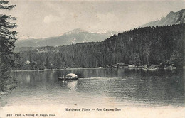 Waldhaus Flims Am Cauma-See 1911 - Flims