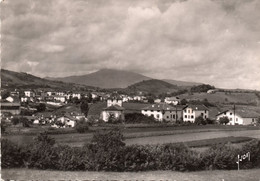 64,PYRENEES ATLANTIQUES,ESPELETTE,CARTE PHOTO YVON - Espelette