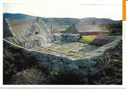 L'Hôpital. Mont Lozère - Aire à Battre -  Parc National Des Cévennes - Carte Datée. 2006 - Otros & Sin Clasificación