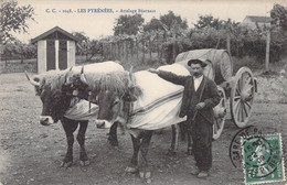 CPA Thèmes - Agriculture - Les Pyrénées - Attelage Béarnais - C. C. - Oblitérée 1909 Basses Pyrénées - Animée - Boeufs - Equipaggiamenti