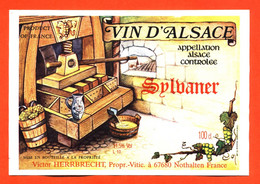 Etiquette Neuve De Vin D'alsace Sylvaner Victor Herrbrecht à Nothalten - 100 Cl - Vin De Pays D'Oc