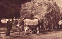 CPA Thèmes - Agriculture - Toute La France - Terroir Pyrénéen - Un Attelage Paysan - Editions Jové - Pau - Héliog. Luxe - Equipos