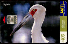 SCHEDA TELEFONICA PHONECARD URUGUAY 2000 BIRDS CIGÜEÑA - Uruguay