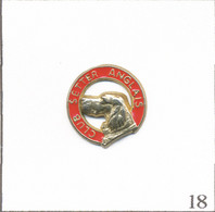 Pin's Animal - Chien / Club Du Setter Anglais. Non Estampillé. Métal Peint. T904-18 - Animaux
