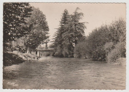 65 - Hautes Pyrénées / MAUBOURGUET -- Un Joli Coin Des Bords De L'Adour. - Maubourguet