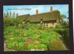 118061           Regno   Unito,   Anne  Hathaway"s   Cottage,   Shottery,   Stratford-upon-Avon,   NV - Stratford Upon Avon