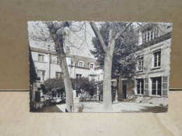 ORLEANS (45) Cours Du Bourdon Blanc Massif Jeanne D'Arc - Orleans